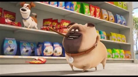 PetSmart TV Spot, 'All the Treats' featuring Matt Griesser