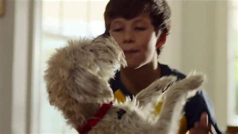 PetSmart TV Spot, 'Dinner With Dancing'