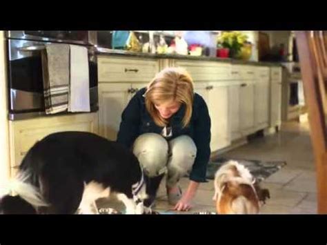 PetSmart TV Spot, 'Memorable Mealtimes' created for PetSmart