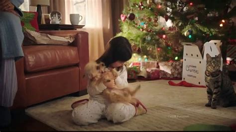 PetSmart TV Spot, 'Pet's Holiday Special: Holiday Toys'