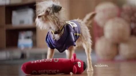 PetSmart TV Spot, 'Rivalries' Song by Queen created for PetSmart