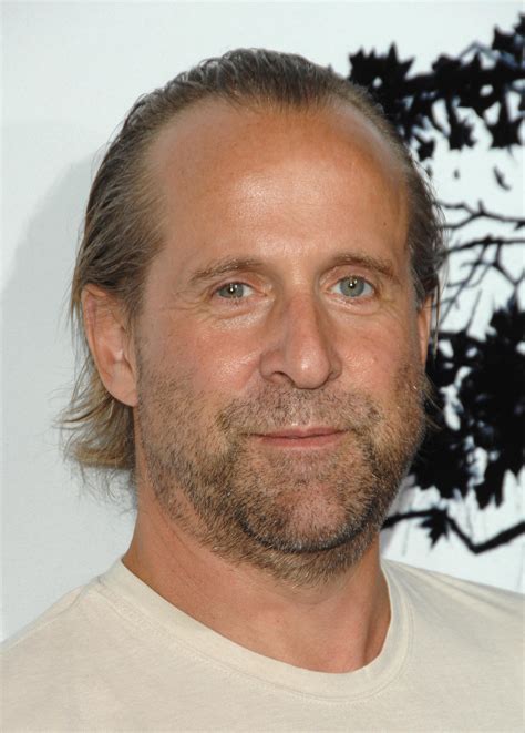 Peter Stormare photo