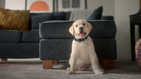 Physicians Mutual Pet Insurance TV Spot, 'Meet Eddie'