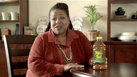 Pine Sol TV commercial - Tempting Cleaners