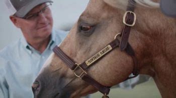 Platinum Performance TV Spot, 'It Starts Within: Nichols Quarter Horses'