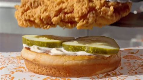 Popeyes Chicken SandwichTV Spot, 'It Makes No Sense'