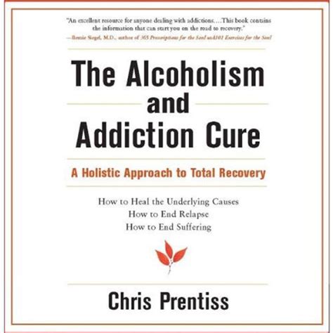 Power Press Publishing The Alcoholism & Addiction Cure