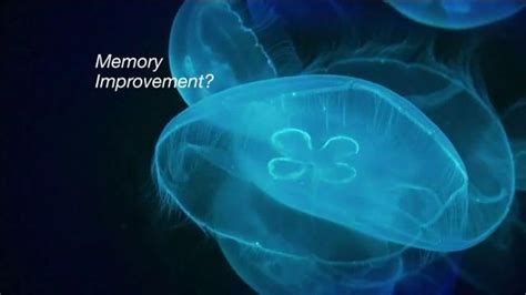 Prevagen TV Spot, 'Jellyfish Protein'