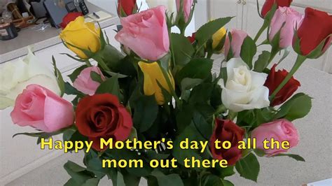 ProFlowers Mother's Day Roses tv commercials