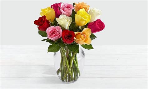 ProFlowers One Dozen Assorted Roses logo