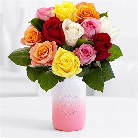 ProFlowers One Dozen Colorful Roses logo