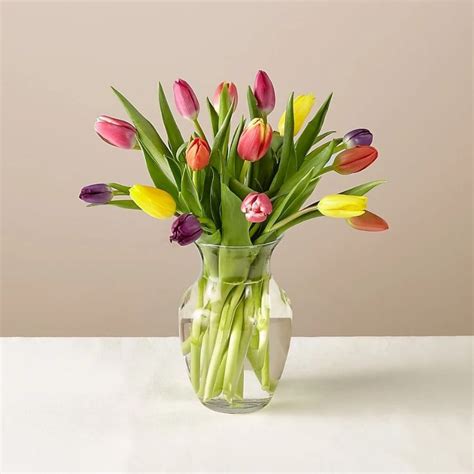 ProFlowers Spring Breeze Multicolored Tulip Bouquet logo