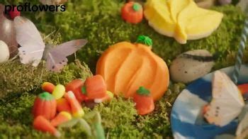 ProFlowers TV Spot, 'Making It Simple: Fall Flowers' created for ProFlowers