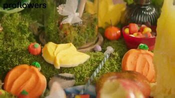 ProFlowers TV Spot, 'Spooky Season'