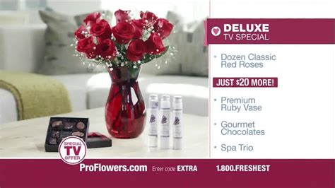 ProFlowers TV Spot, 'Valentine's Day: Red Roses'