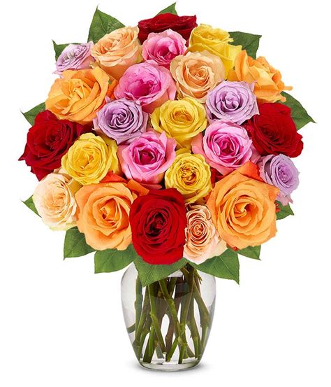 ProFlowers Two Dozen Colorful Roses logo