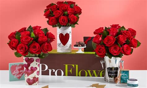 ProFlowers Valentine's Day Roses logo