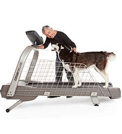 ProForm Dog Treadmill logo