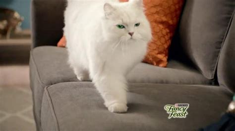 Purely Fancy Feast TV Spot, 'The Details' featuring Danielle Donn