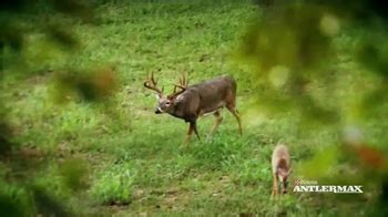 Purina AntlerMax TV commercial - Outdoor Channel: Big Bucks