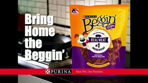 Purina Beggin' Strips TV Spot, 'Beggin' Time: Kitchen'