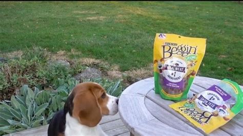 Purina Beggin' TV Spot, 'Bonkers for Beggin: Purple Leash Project' Song by Johnny Wishbone