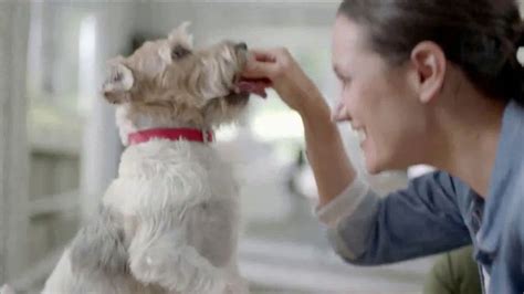 Purina Beggin' TV Spot, 'Bonkers for Beggin: Stairs' featuring Drew Patterson