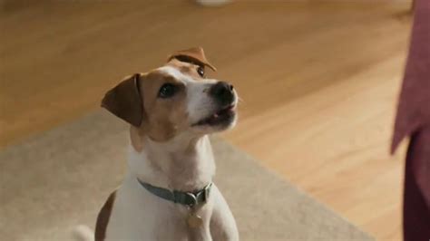 Purina Beneful Chopped Blends TV commercial - Yes, I Want to Eat!