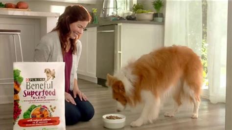 Purina Beneful Medley TV Spot