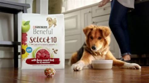 Purina Beneful Select 10 TV commercial - Selective