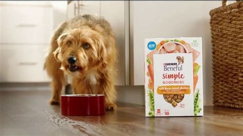 Purina Beneful Simple Goodness TV commercial - Amazing