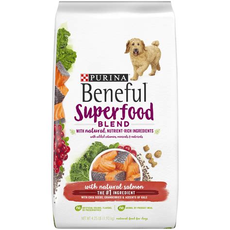 Purina Beneful Superfood Blend Dry Dog Food With Natural Salmon