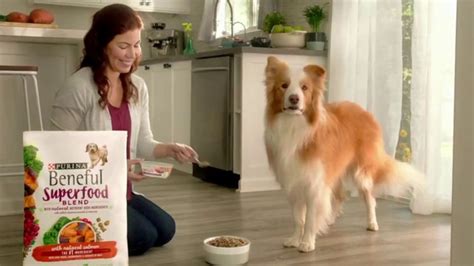 Purina Beneful Superfood Blend TV Spot, 'Nutrient-Rich' featuring Robyn Moler