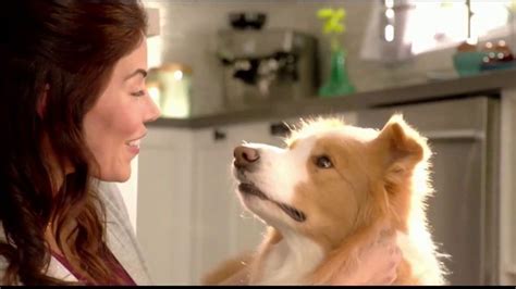 Purina Beneful Superfood Blend TV commercial - Súper saludable