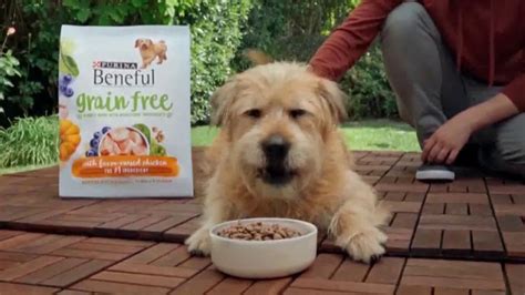 Purina Beneful Superfood Blend TV Spot, 'Súper saludable: Grain Free' created for Purina Beneful