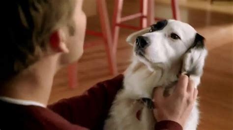 Purina Beneful TV Spot, 'Full Life' created for Purina Beneful