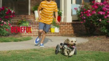 Purina Beneful TV Spot, 'Lleno de vida' created for Purina Beneful