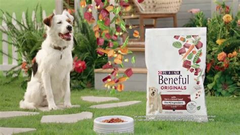 Purina Beneful TV Spot, 'Natural Recipes'