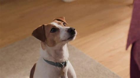 Purina Beneful TV Spot, 'Sí, Quiero Comer' created for Purina Beneful