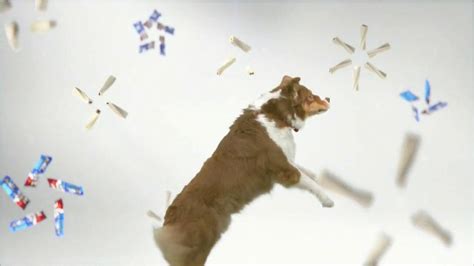 Purina Busy TV Spot, 'Get Busy' Song by George Clinton