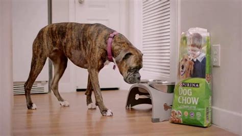 Purina Dog Chow TV commercial - Why Nick is Proud to Make Purina Dog Chow