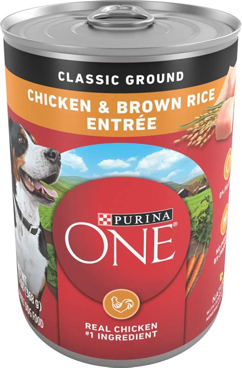 Purina ONE SmartBlend Chicken & Brown Rice Entree logo