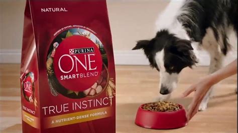 Purina ONE SmartBlend True Instinct TV Spot, 'Evolved' featuring Kevin McConnell