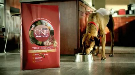 Purina ONE SmartBlend True Instinct TV commercial - Evolved