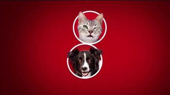 Purina ONE TV Spot, '28 Días. Una mascota visiblemente saludable.'