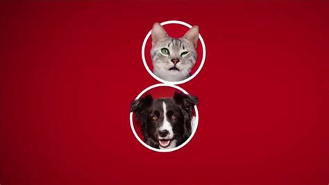 Purina ONE TV Spot, '28 Days. ONE Visibly Healthy Pet' featuring Kevin McConnell