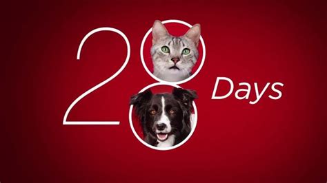 Purina ONE TV commercial - 28 Days: True Instinct Formulas for Dogs