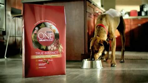 Purina ONE TV Spot, '28 Days: True Instinct High Protein Formulas' featuring Kevin McConnell