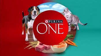 Purina ONE TV Spot, 'Empieza en su intestino' created for Purina ONE