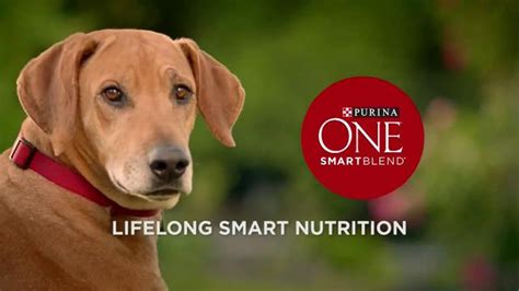 Purina One SmartBlend TV Spot, 'All in One' created for Purina ONE